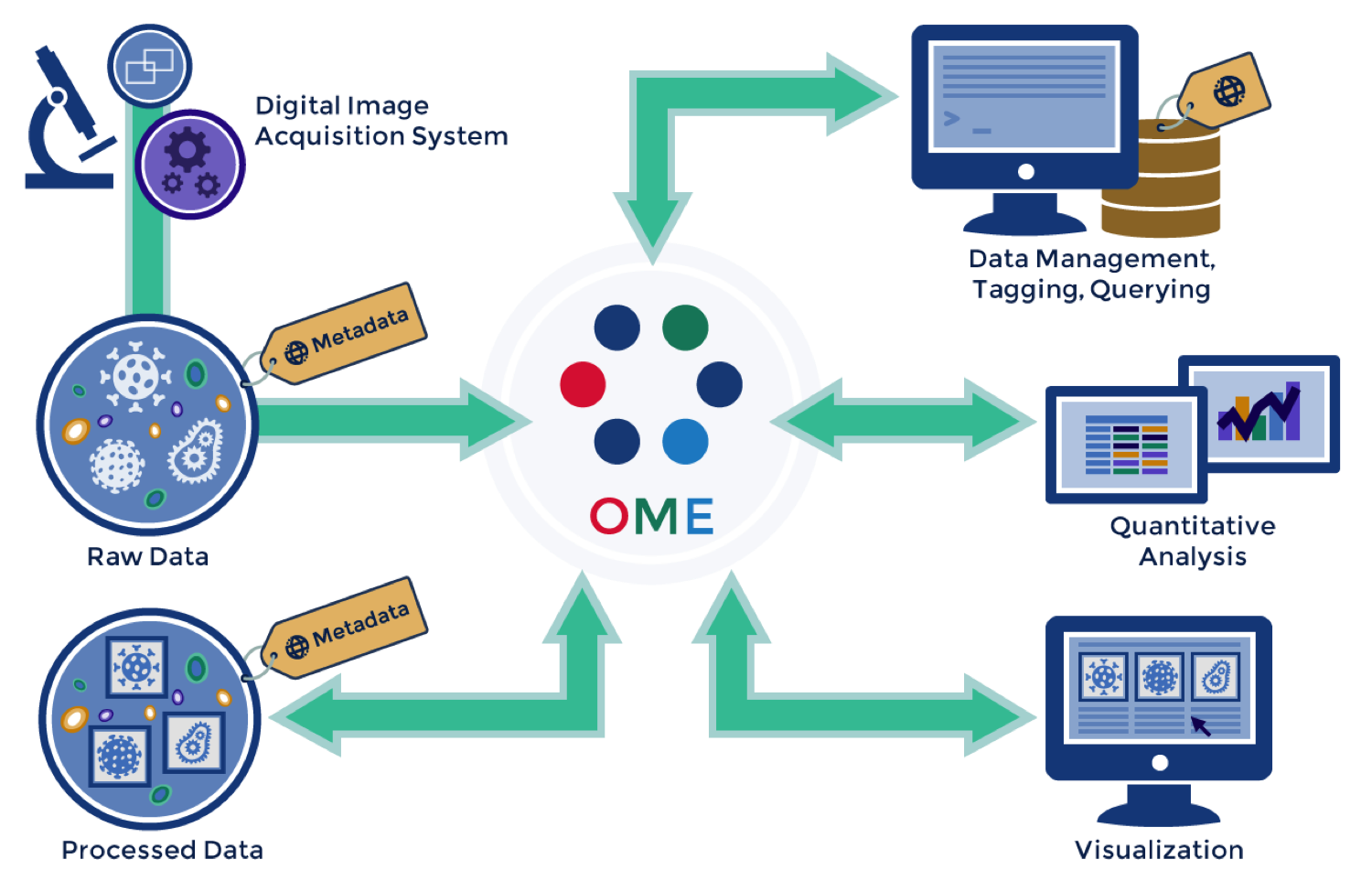 Schematic overview of the OMERO tool assembly.